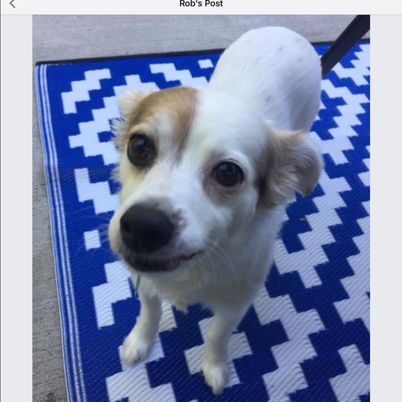 Meet the Posher - Picture 4 of 4